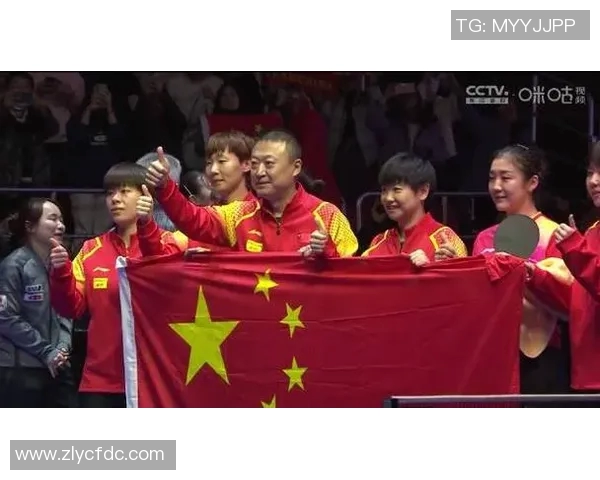 南京乒乓球队的奋斗历程与荣耀时刻大师赛特别报道