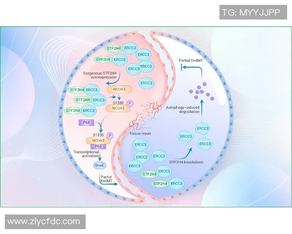 西安网球队在欧锦赛中的战术意识与团队配合全面解析