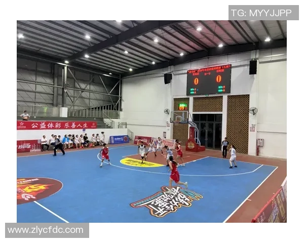 武汉篮球队实力分析与联赛表现评估全景解读