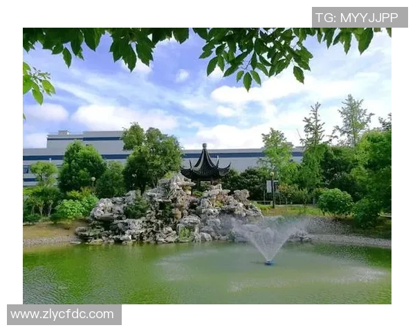 西安篮球队的崛起之路：从默默无闻到钻石联赛的璀璨星辰