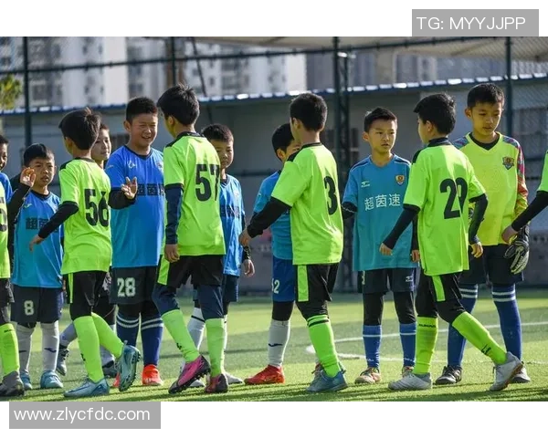 独家分析：武汉足球队的团队协作对比