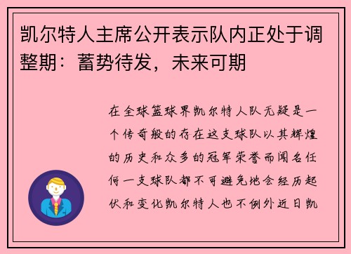 凯尔特人主席公开表示队内正处于调整期：蓄势待发，未来可期