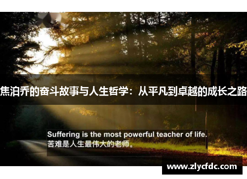 焦泊乔的奋斗故事与人生哲学：从平凡到卓越的成长之路