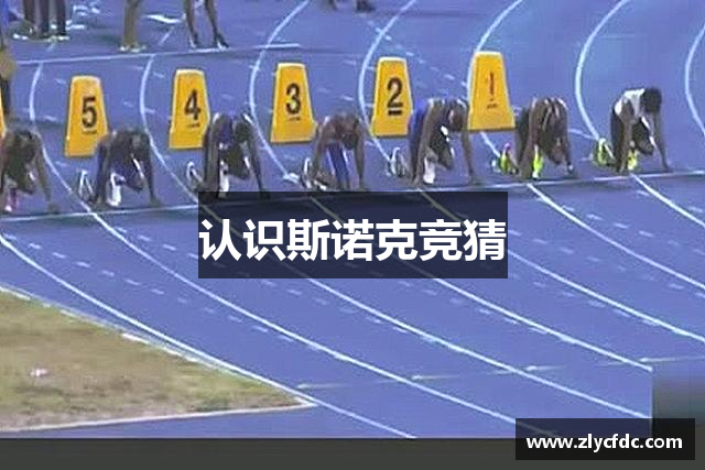 认识斯诺克竞猜